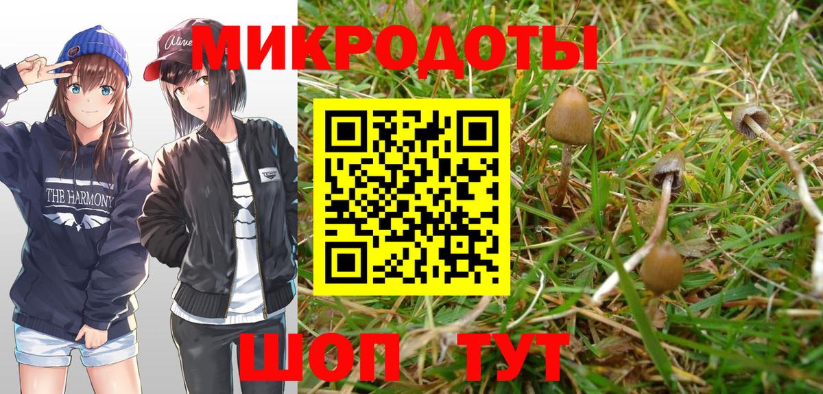 Кстово  Псилоцибиновые грибы Psilocybine cubensis  Вход с VPN 