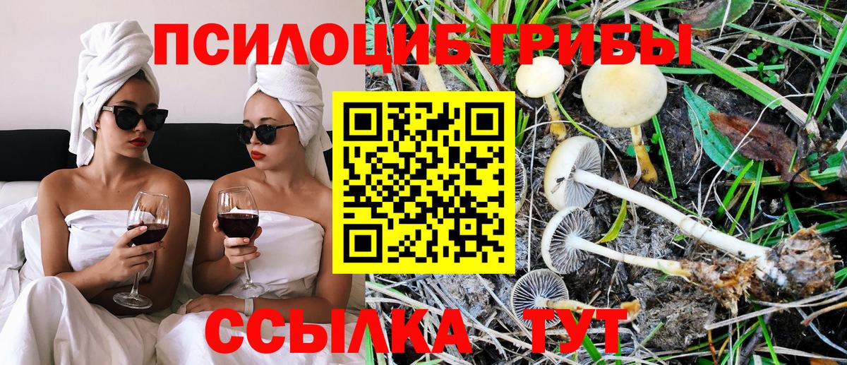 Галлюциногенные грибы GOLDEN TEACHER Кстово